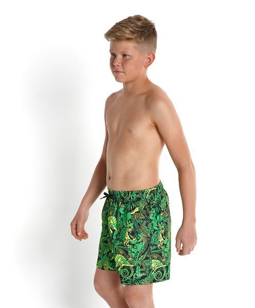 Printed Leisure 15 Ws Шорти XXL 809040A673 фото