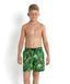 Printed Leisure 15 Ws Шорти XXL 809040A673 фото 1
