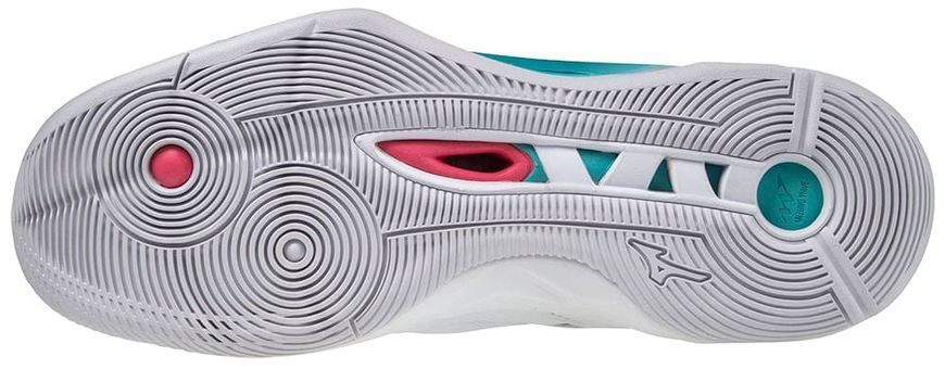 Кросівки Mizuno WAVE MOMENTUM 2 унісекс біло-чорні (V1GA211236) 44 V1GA211236 фото