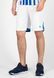 Шорти Mizuno Game Short JAPAN чоловічі білі (P2EB751072) 3XL P2EB751072 фото 1