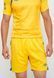 Шорти Umbro IRELAND SHORT чоловічі жовті S (U917780LE) U917780LE фото 1